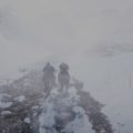 Red Dead Redemption 2 Enter Pursued by a Memory Wiki Guide 1