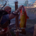 Assassin’s Creed Valhalla Fish