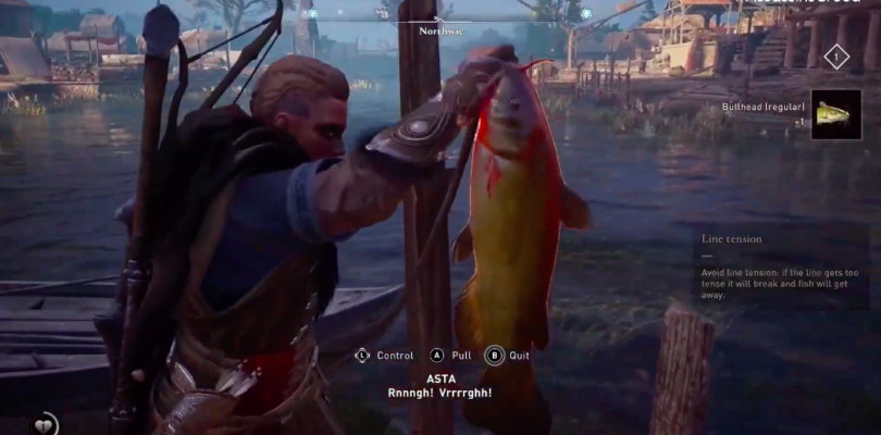 Assassin’s Creed Valhalla Fish