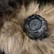 What Does The Beast Eye Quivers Indicate in Elden Ring