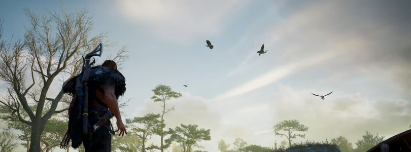 Assassin's Creed Valhalla Heron Beaks