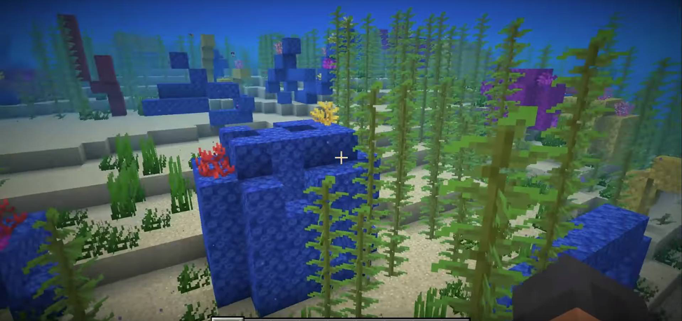 Minecraft Harvest Coral Survival Mode