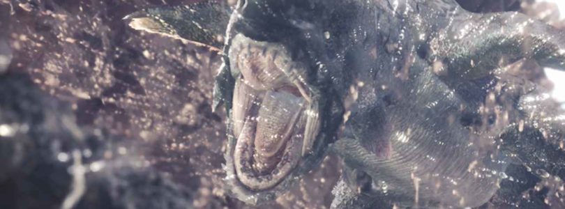 Monster Hunter: World Aqua Sac