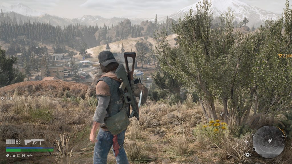 Where to Find Agoseris in Days Gone