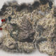 Days Gone Belknap Nero Research Sites Locations Map