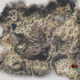 Days Gone Belknap R.I.P Sermon Collectible Location Map