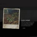 Days Gone: Black Currant Herbology Collectible Location Guide