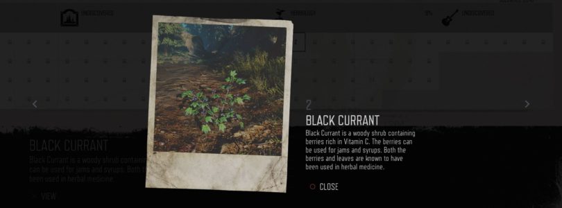 Days Gone: Black Currant Herbology Collectible Location Guide
