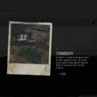 Days Gone Crowberry Herbology Collectible Location Guide