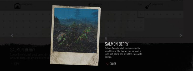 Days Gone: Salmon Berry Herbology Collectible Location Guide