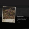 Days Gone Wild Bergamot Herbology Collectible Location Guide