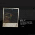 Days Gone: Wood Lily Herbology Collectible Location Guide