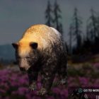 Far Cry: New Dawn Black Bear Hunting Location