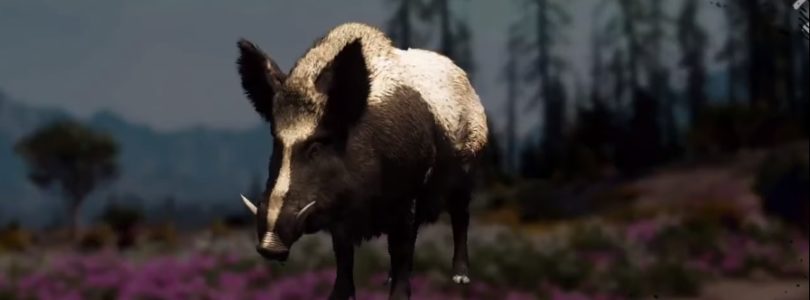 Far Cry: New Dawn Boar Hunting Location