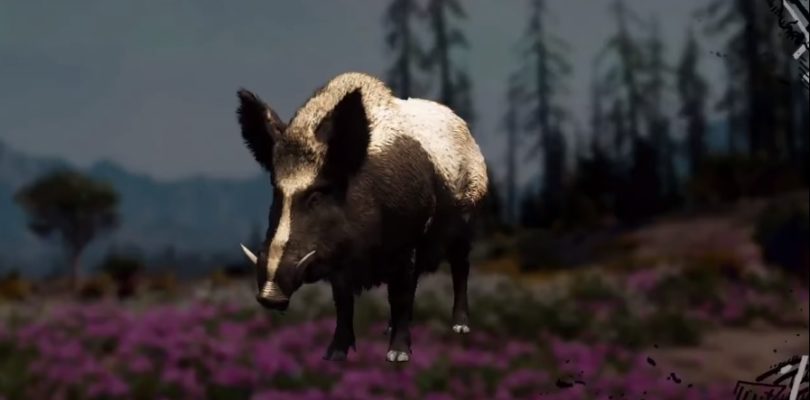 Far Cry: New Dawn Boar Hunting Location