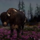 Far Cry: New Dawn Bull Hunting Location