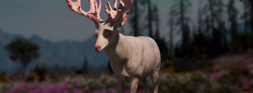 Far Cry: New Dawn Deer Hunting Location