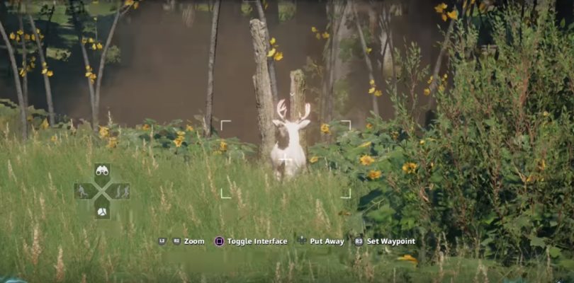 Far Cry: New Dawn Deer Hunting Location
