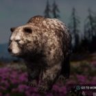 Far Cry: New Dawn Grizzly Bear Hunting Location