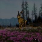 Far Cry: New Dawn Hare Hunting Location