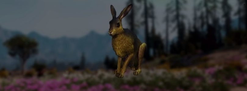 Far Cry: New Dawn Hare Hunting Location