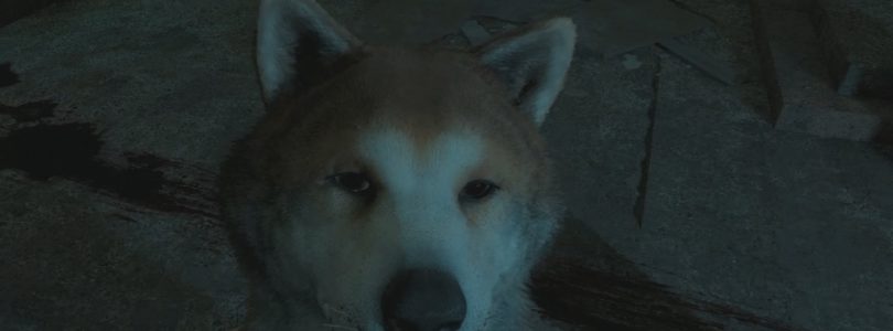 Far Cry: New Dawn Man Eat Dog World Wiki Guide