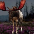Far Cry: New Dawn Moose Hunting Location