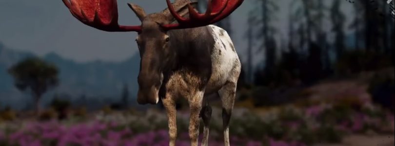 Far Cry: New Dawn Moose Hunting Location