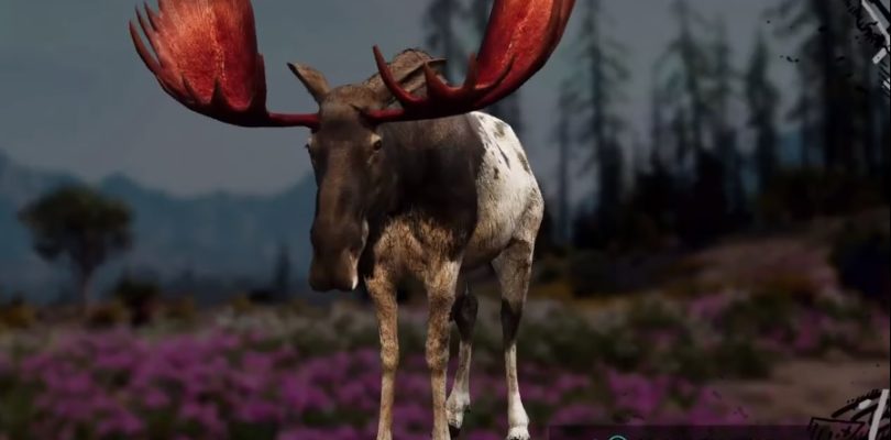 Far Cry: New Dawn Moose Hunting Location