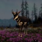 Far Cry: New Dawn Pronghorn Hunting Guide