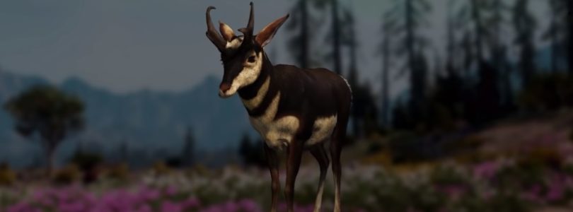 Far Cry: New Dawn Pronghorn Hunting Guide