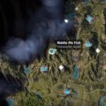 Far Cry New Dawn Riddle Me Fish Treasure Hunt Location