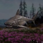 Far Cry: New Dawn Shark Hunting Location