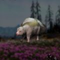 Far Cry: New Dawn Skunk Hunting Location
