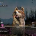 Far Cry: New Dawn Timber Location