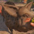 Far Cry: New Dawn To Love a Boar Walkthrough