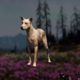 Far Cry: New Dawn Wild Dog Hunting Location