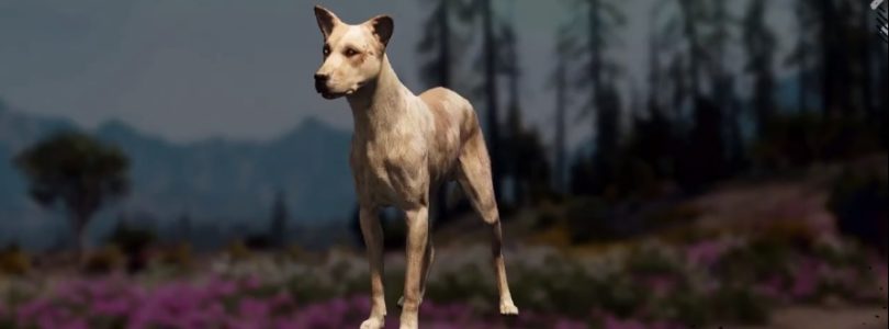 Far Cry: New Dawn Wild Dog Hunting Location