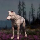 Far Cry: New Dawn Wolf Hunting Location