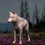 Far Cry: New Dawn Wolf Hunting Location