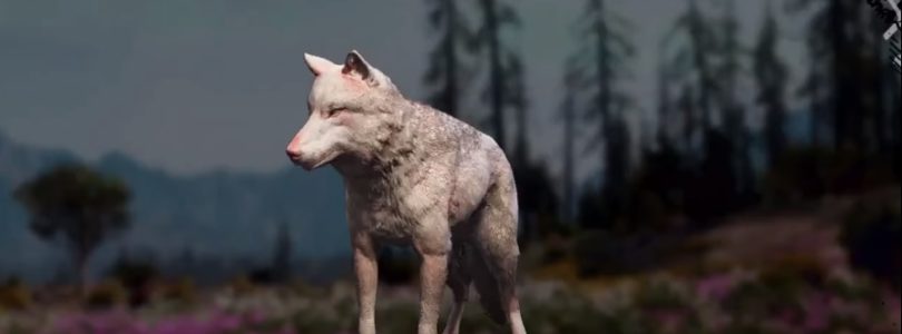 Far Cry: New Dawn Wolf Hunting Location