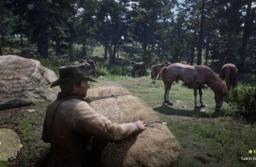 How to Feed the Horse in Red Dead Redemption 2