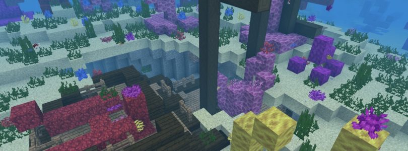 Minecraft Coral