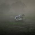 Red Dead Redemption 2 Arcadia for Amateurs Wiki Guide 3