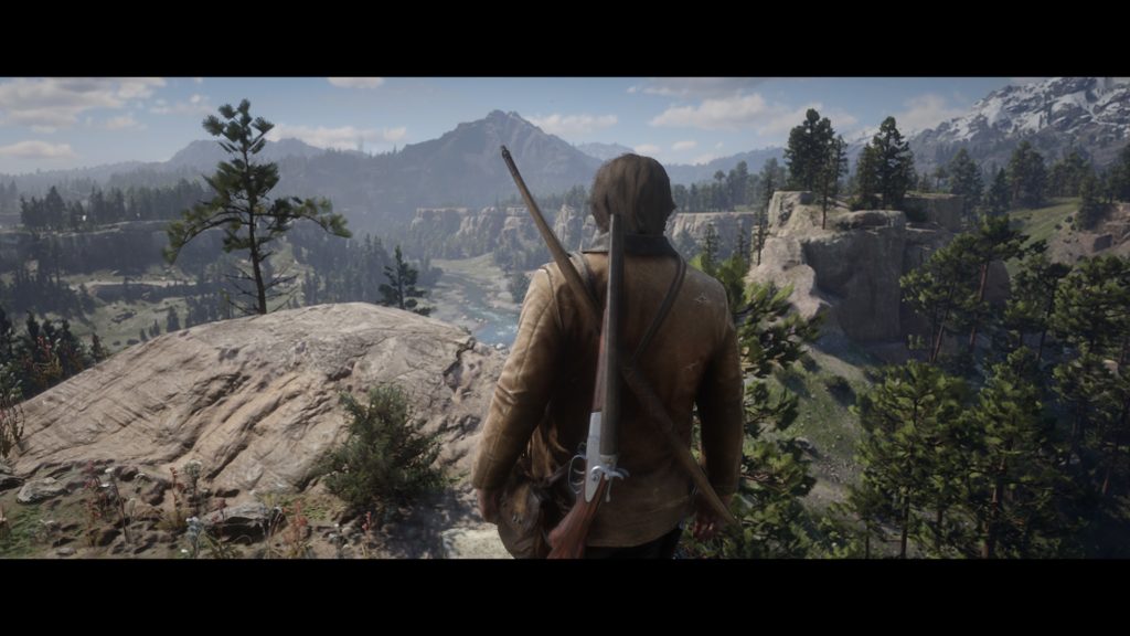 Red Dead Redemption 2 Arcadia for Amateurs Wiki Guide 5