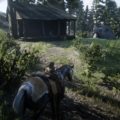 Red Dead Redemption 2 Geology for Beginners Wiki Guide 1