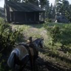 Red Dead Redemption 2 Geology for Beginners Wiki Guide 1