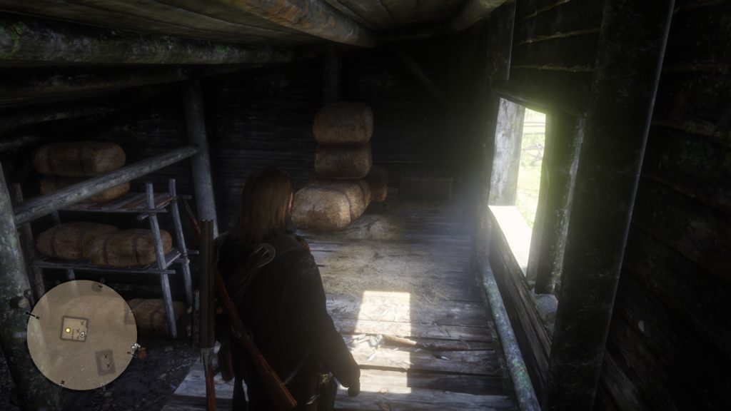RDR2 Home Robberies Guide 4