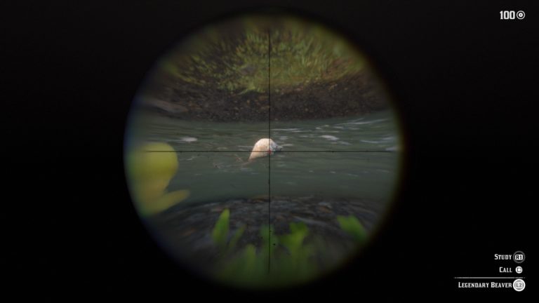 Legendary Beaver Hunting & Skin Location | Red Dead Redemption 2 Guide ...