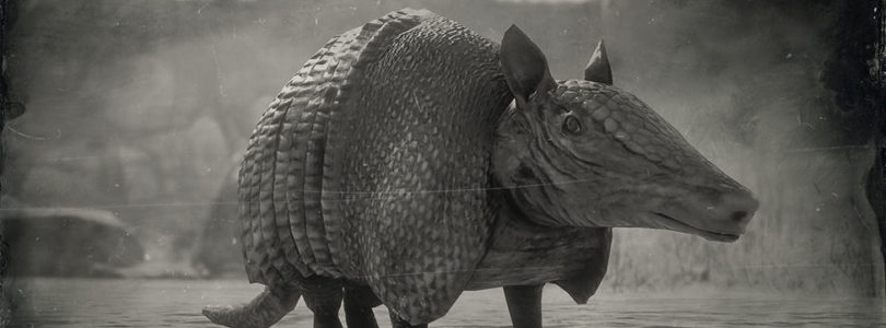 RDR2 Nine-Banded Armadillo